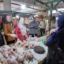 sekarangaja