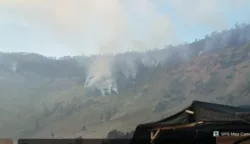 sekarangaja