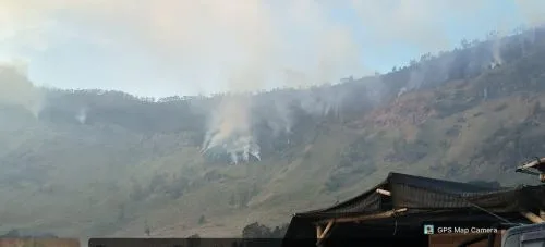 Kebakaran di Wisata Bromo Berdampak Penutupan Tiga Pintu Masuk 1 sekarangaja