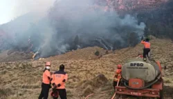 Operasi Pemadaman Digencarkan Pakai Helikopter Menyusul Kebakaran Bromo Meluas ke Arah Bukit B 29 8 sekarangaja