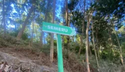 Ini Daftar Gunung yang Ditutup Sementara untuk Pendakian Mulai 1 September 7 sekarangaja