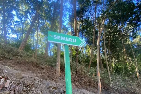 sekarangaja