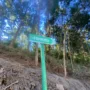 Ini Daftar Gunung yang Ditutup Sementara untuk Pendakian Mulai 1 September 3 sekarangaja