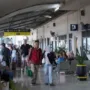 sekarangaja
