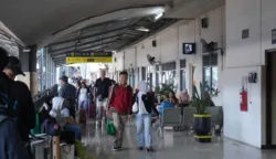 sekarangaja