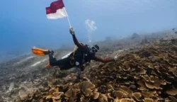 Pasar Wisata Selam Maratua Diperluas ke Malaysia dan Singapura 7 sekarangaja