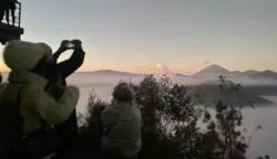sekarangaja