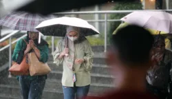 sekarangaja