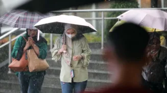 sekarangaja
