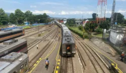 sekarangaja