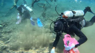 Satkoppeba Koarmada II Bersihkan Plastik dan Ganggang di Sumber Air Umbulan 2 sekarangaja