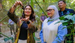 Wamenpar Ni Luh Puspa Tinjau Kawasan Taman Nasional Bantimurung-Bulusaraung 7 sekarangaja