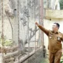 sekarangaja