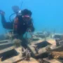 Begini Perkembangan Rehabilitasi Terumbu Karang Perairan Pulau Tidung 3 sekarangaja