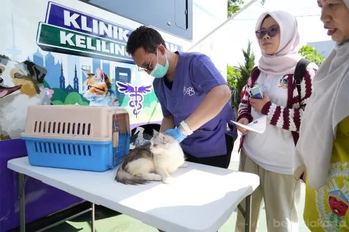Jadwal Layanan Mobil Klinik Hewan di Jakarta Timur Selama Bulan Oktober 1 sekarangaja