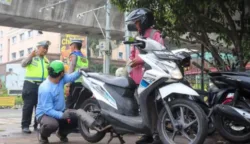 sekarangaja