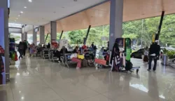 sekarangaja