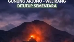 Pendakian Gunung Arjuno-Welirang Ditutup Sementara Akibat Karhutla 7 sekarangaja