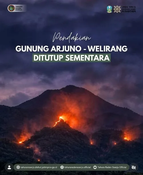 Pendakian Gunung Arjuno-Welirang Ditutup Sementara Akibat Karhutla 1 sekarangaja